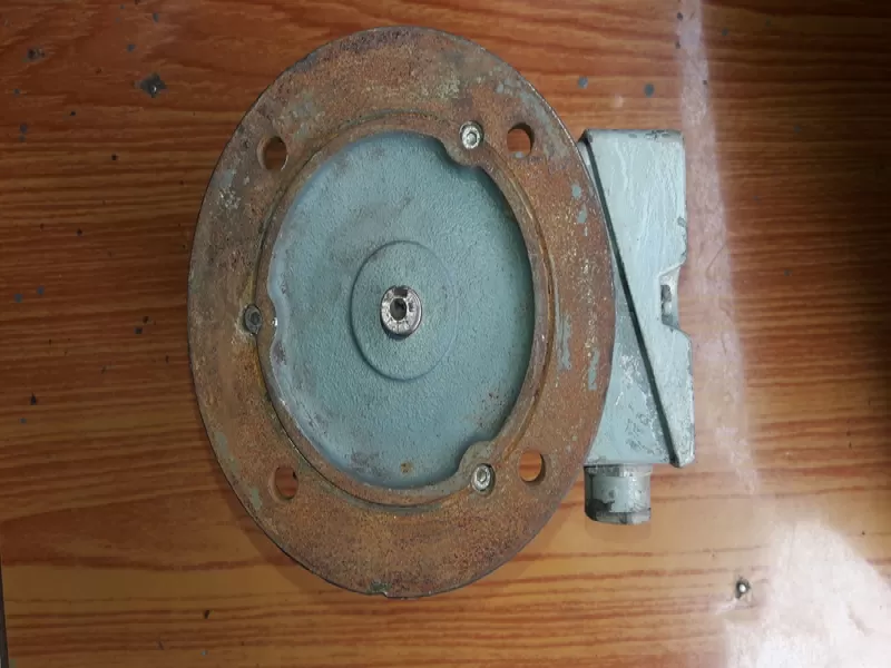 MARINE INDUCTION MOTOR