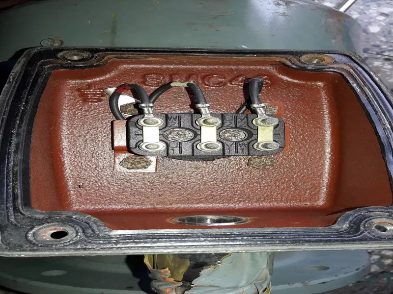 MARINE INDUCTION MOTOR