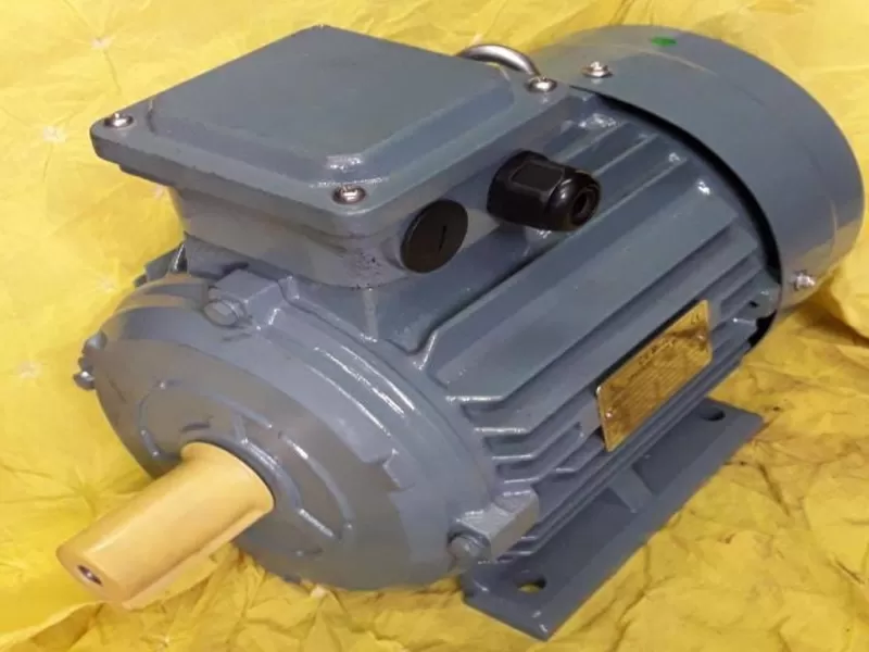 MARINE INDUCTION MOTOR